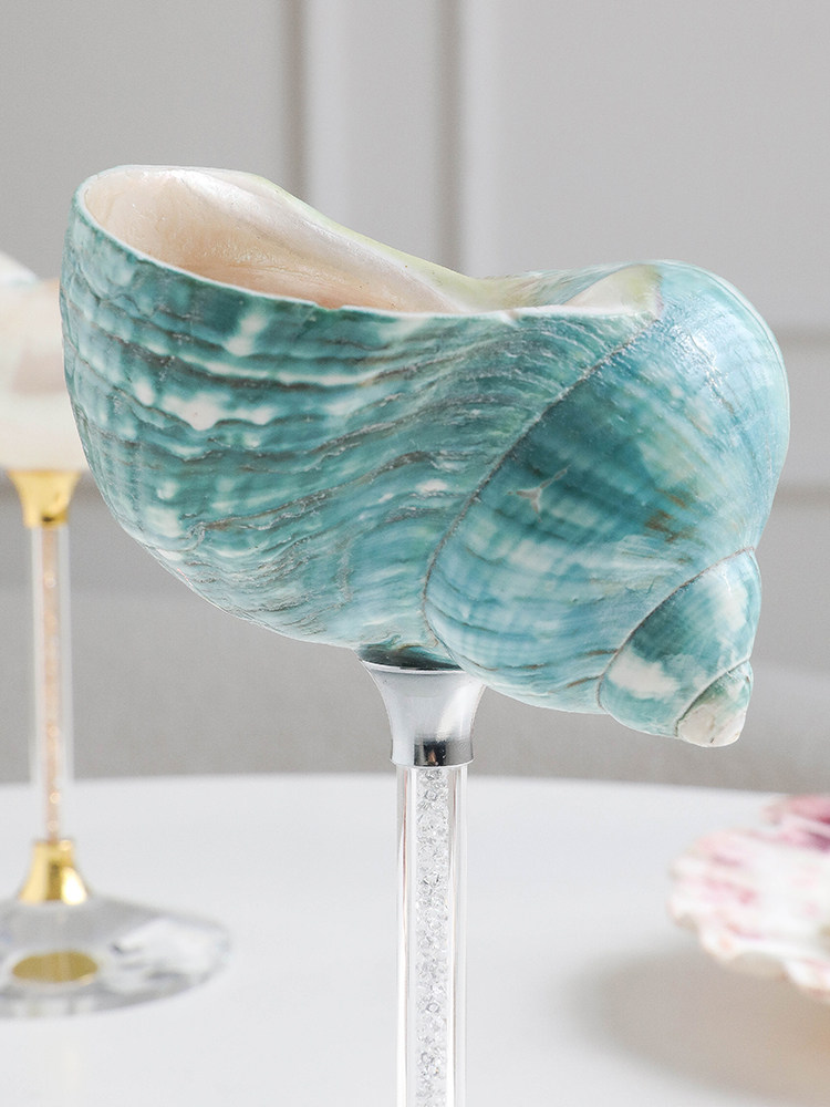 White Conch Shell Wine Glasses - Set of 2