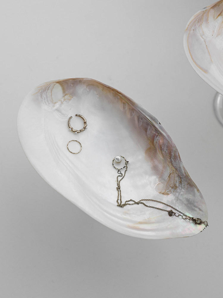Natural Mussel Shell Jewelry Dish - Mother of Pearl Trinket Tray